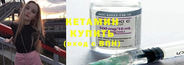 apvp Вяземский