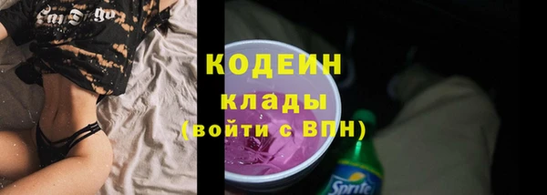 apvp Вяземский