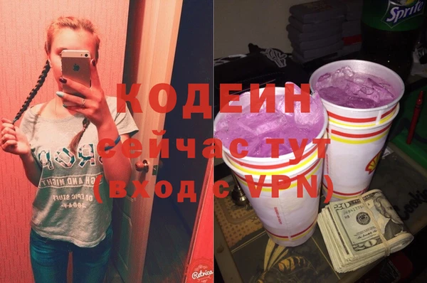 apvp Вяземский