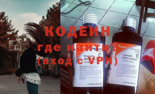 apvp Вяземский