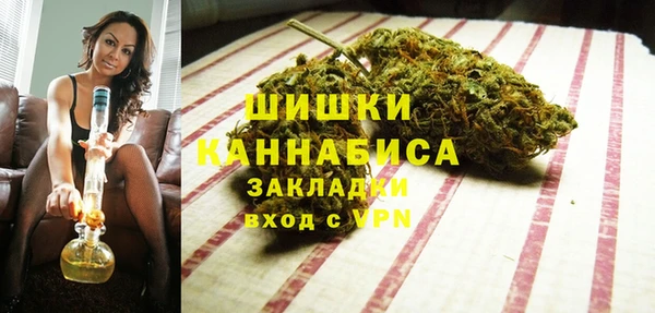 apvp Вяземский