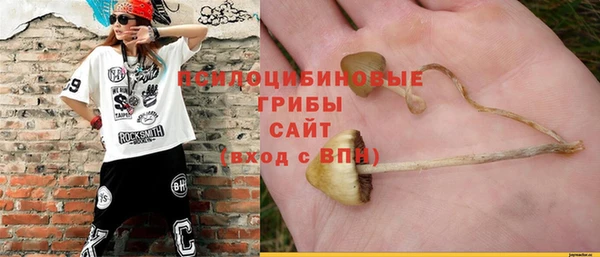 apvp Вяземский