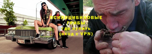 apvp Вяземский