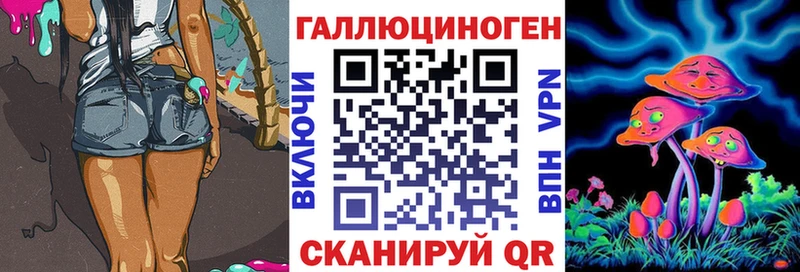 Купить где  Каргат  Галлюциногенные грибы GOLDEN TEACHER 