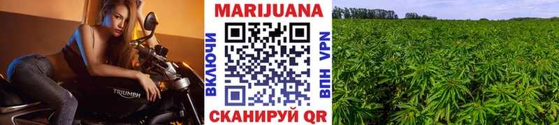 Купить закладки  Каргат  Бошки Шишки индика 
